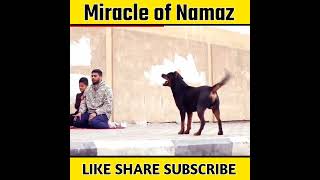 Miracle of Namaz | Namaz Viral Video  #shorts #islamicfacts #islamicknowledge #facts