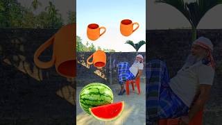 Rounding cups to Grapes, Mango, lichi \u0026 Watermelon - Fruits names magic video