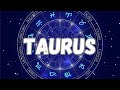 TAURUS🤔 They are staying away from you for NOW, and it’s NOT what you think… 🤔 SEPTEMER Love Tarot