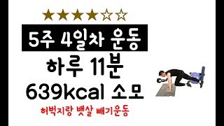 하루 11분 홈트 전신 다이어트 639kcal 태우기