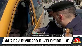 הקורונה ברשות הפלסטינית אליאור לוי כתבנו אולפן ynet