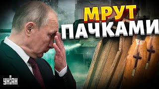 РФ тонет в море гробов. Потери бьют все рекорды, цифры шокируют