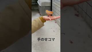 手のせコマ！