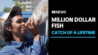 Top End teenager Keegan Payne catches million dollar fish | ABC News