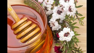 Manuka Honey A Promising Natural Treatment for Breast Cancer