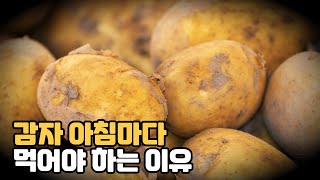 감자를 매일 아침 먹어야 하는 이유 #50대이상 #건강정보