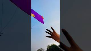 kite loooting by three boys 😱।। #shorts #kitelooting #kiteflying #kitelover #kite #patang #matheda