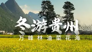 冬天的贵州万峰林，暖阳与花海同在，来新晋国家5A级旅游景区里感受中国最早的春天冬游贵州好安逸 万峰林油菜花季  康养胜地人文兴义 万峰林国家5A级旅游景区