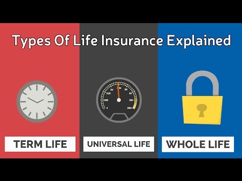 Types Of Life Insurance Explained Types Of Life Insurance Explained