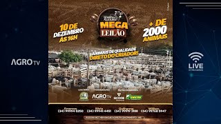 MEGA LEILÃO SACRAMENTO LEILÕES