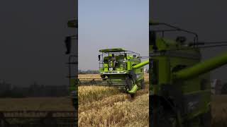 🦅kartar combine #kartar4000 #kisan #combinemachine #combine #farming #farmer #shorts