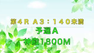 [チョコボスタリオン] 若葉杯１：４Ｒ：Ａ３-１４０未満 予選Ａ [エキシビジョン]