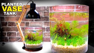 Aquascape Tutorial: Vase Aquarium (How To: Step by Step No Filter Planted Tank Guide)
