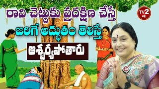 రావి చెట్టును పూజించడంలో అంతరార్ధం ఏమిటి? | Importance Of Puja For Ravi Chettu | TV2 Bhakti