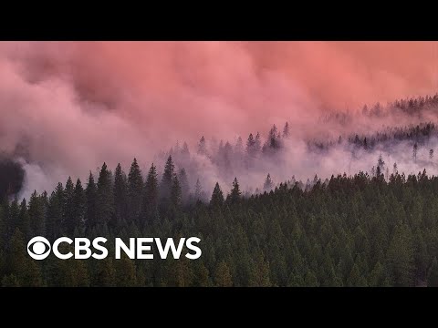 Park fire now fourth largest in California history as heat wave in Los Angeles raises risks