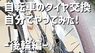 【ワイルドぴろちゃんのやってみたシリーズ】素手で自転車のタイヤ交換してみた(後輪編)