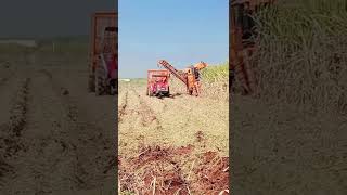 Shaktimaan sugar cane harvester Mahindra Arjun Novo Infildar￼￼