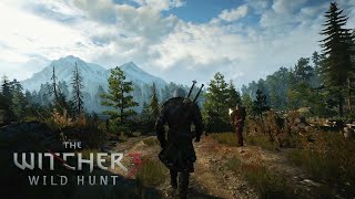 The Witcher 3 - Relaxing Walk on Skellige Islands | Music & Ambience