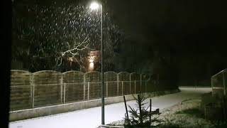 Kräftiger Schneefall (1.12.2020)      #schneefall