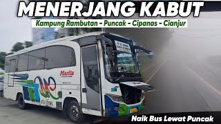 NAIK BUS LEWAT JALUR PUNCAK BOGOR, TRIP PO MARITA KAMPUNG RAMBUTAN - CIPANAS - PUNCAK - CIANJUR