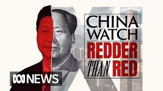 The rise of Xi Jinping: From life in exile to post-modern chairman | China Watch pt II