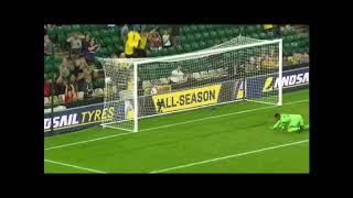 Every Single Teemu Pukki League Goal - Norwich City