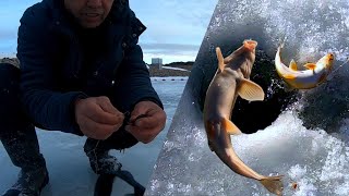 Mag-Ice Fising tayo sa Canada! | #icefishing