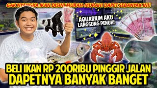 HUNTING IKAN DI PINGGIR JALAN RP 200.000 DAEPTNYA MALAH SEBANYAK INI! LENGKAP BANGET HEWAN DISINI!