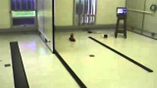 Learning classifier systems tests