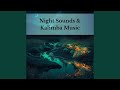 Last Review - Night Sound