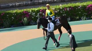 【レース】エターナルビクトリ（３着）武豊騎手 返し馬で引っ掛かったので、レースでは折り合いに専念せざるを得ませんでした。スパッとは切れないけど、折り合えばラストはいい脚を使ってくれます。