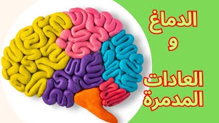 #الــعـــادات الـــمـــدمــــرة للــــدمـــــــاغ