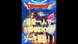 DQ3/ドラクエ3/豪運勇者一人旅1時間半でゾーマ撃破【TASさんの運試し】解説有