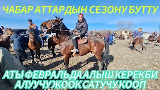 ОЗГОН ЧАБАР АТТАР АРЗАНДАП КЕТИ.23.02.2025#horse #памиртв #озгон