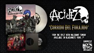 Acidez- El Corrido del Forajido