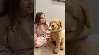 Lesson about sharing is caring-Rhia shares her new puppy with Sierra #shorts