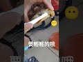 寵物 盾臂龜 陸龜 蘇卡達 烏龜 爬蟲 象龜 sulcata turtle 不龜路