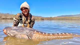 Battling a 10 foot White Sturgeon!!! {Catch \u0026 Cook} Oregon