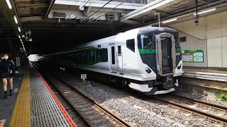 E257系 OM-55編成 特急草津・四万1号長野原草津口行が大宮駅8番線を発車するシーン