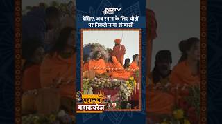 Maha Kumbh 2025: देखिए, जब स्नान के लिए घोड़ों पर निकले नागा संन्यासी | Mahakumbh Amrit Snan |SHORTS