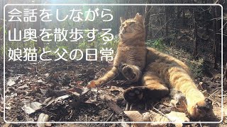 山奥で先に帰った父を娘猫が鳴きながら追いかけます