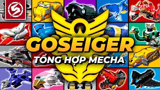 TỔNG HỢP CƠ KHÍ GOSEIGER