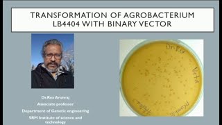 Transformation of Agro Bacterium| Dr. Rex Arunraj | Genetic Engineering | SRM