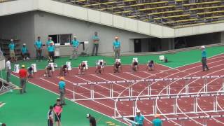 2017年度 兵庫選手権 男子110mH A決勝