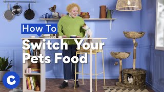 How To Switch Your Pet’s Food | Chewtorials