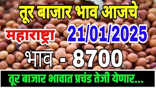 तूर बाजार भाव वाढले 21 जानेवारी 2025 / Tur bhazar bhav today / महाराष्ट्रा तूर भाव असे...तेजी येणार