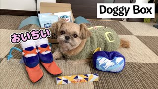 【犬 ドギボ】やっぱり美味しい無添加おやつ DoggyBox1月号 チワワ×シーズー