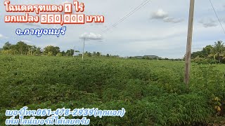 ❌ปิดการขาย❌  Ep.81 ขายที่ดินเปล่าโฉนดครุฑแดง 1 ไร่ ขายยกแปลง 350,000 บาท จ.กาญจนบุรี