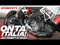 MOGE YANG BISA BUAT BALAPAN OFF-ROAD, DUCATI DessertX RALLY | Otomotif TV