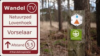 WANDELING natuurpad in VORSELAAR | Natuurgebied de Lovenhoek | Wandel TV